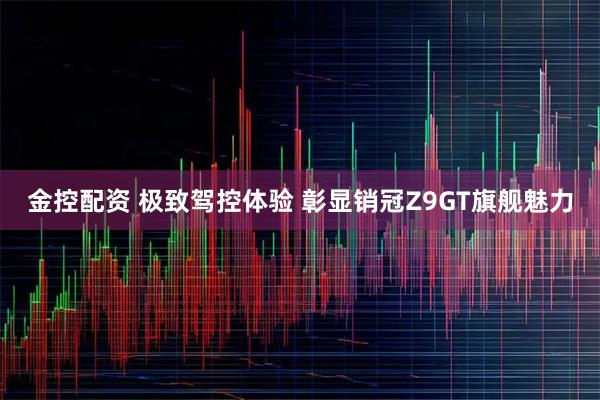 金控配资 极致驾控体验 彰显销冠Z9GT旗舰魅力