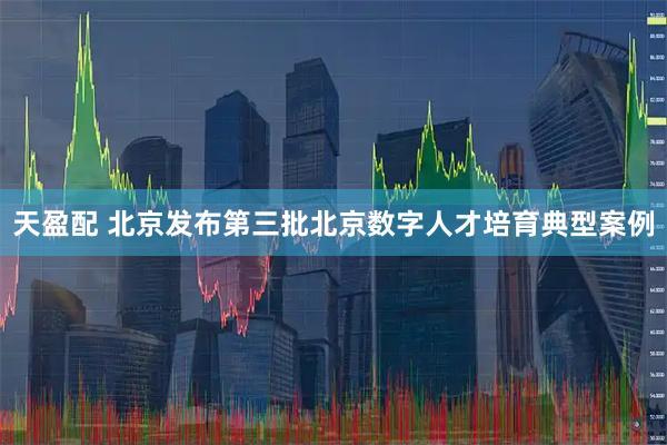 天盈配 北京发布第三批北京数字人才培育典型案例