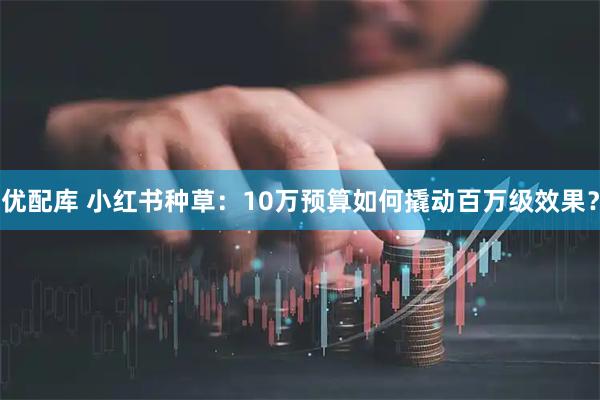 优配库 小红书种草：10万预算如何撬动百万级效果？
